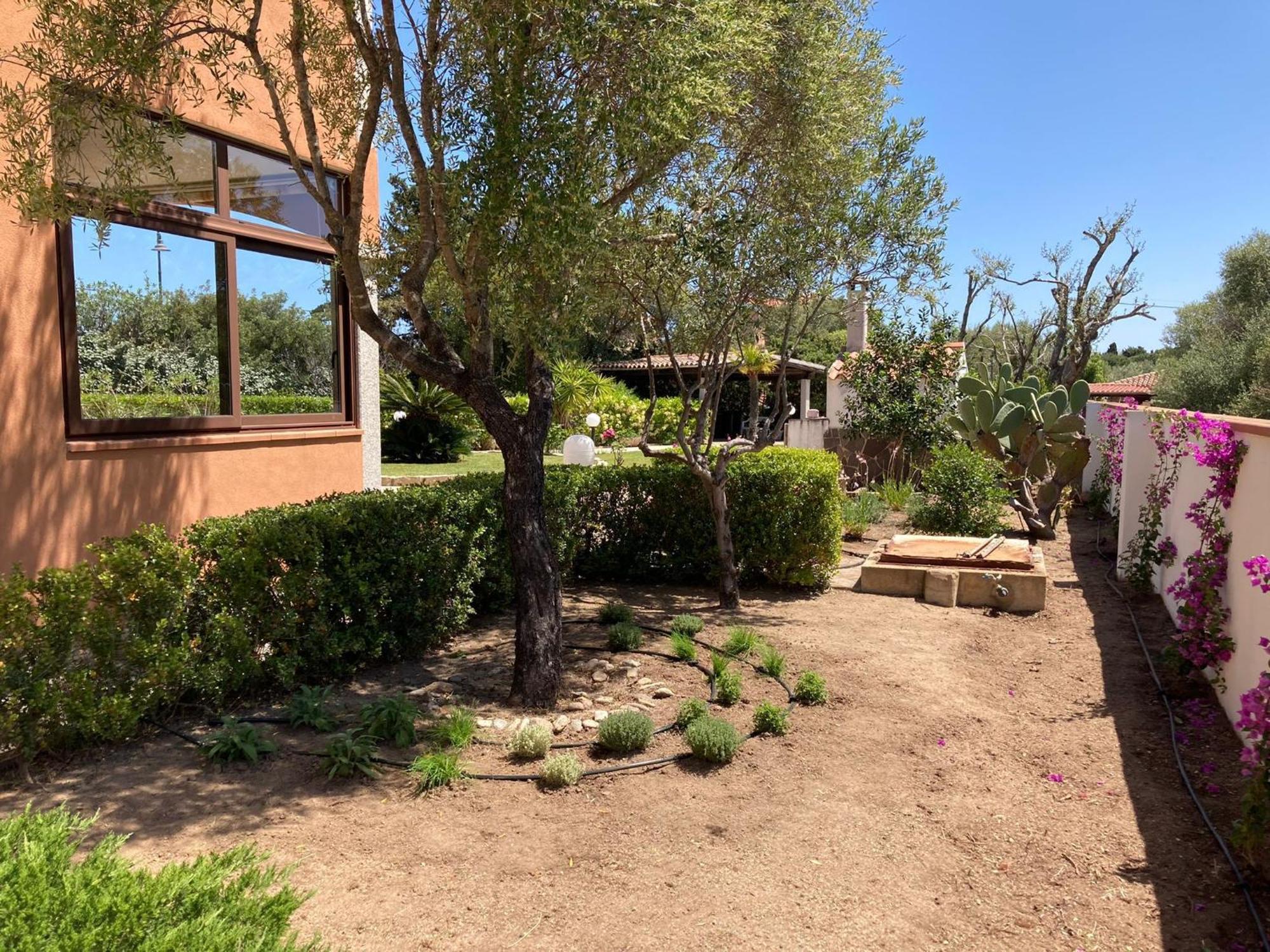 Sardegna - Villa Mirto & Flowers Olbia Ngoại thất bức ảnh